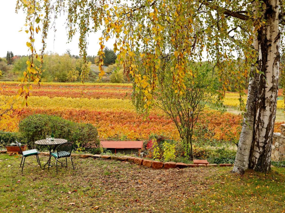 Apartment Am Weinberg By Interhome Bad Dürkheim Esterno foto